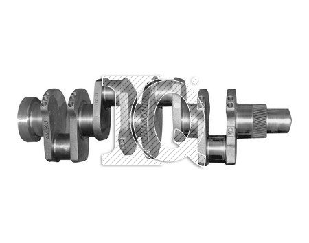 IQ3053 - 3131982R94 - Crankshafts