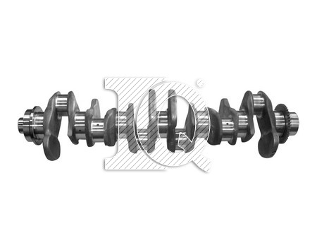 IQ3524 - 9060300502-9060300602-9060301102 - Crankshafts